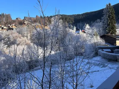 a view of a snowy field with trees and houses at Appartement standing 3 chambres, Luxury 3-bedroom apartment 75m2 in Arâches-la-Frasse