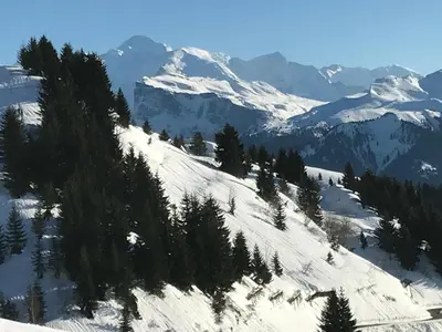 a snow covered mountain with trees and mountains at Résidence Les Chardons Argentés in Samoëns