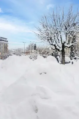 a pile of snow in front of a tree at Studio La Forclaz-6 by Interhome in Chamonix-Mont-Blanc