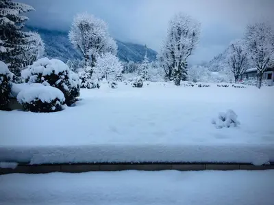 a yard covered in snow with trees and houses at Residence Le Pas Au Loup in Samoëns