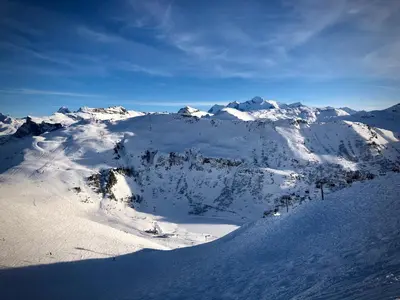 a mountain covered in snow with trees on it at Residence Le Pas Au Loup in Samoëns