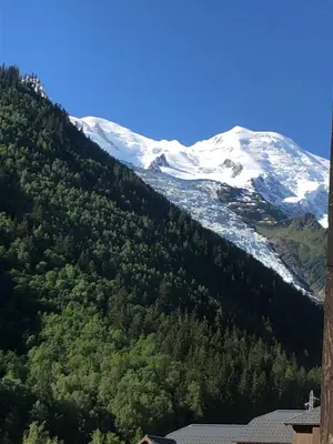 a snow covered mountain with trees in the foreground at Aiguille du Midi - Le Chamo'nid in Chamonix-Mont-Blanc