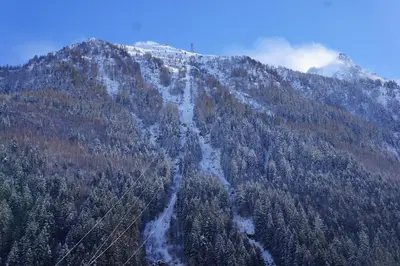 a mountain covered in snow and trees at Aiguille du Midi - Le Chamo'nid in Chamonix-Mont-Blanc