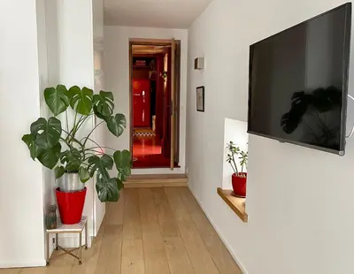 a hallway with potted plants and a flat screen tv at Chalet à Megève-Vauvray - Grands Appartements , vue Mont Blanc in Demi-Quartier