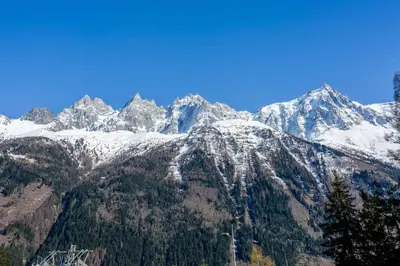 a snow covered mountain with trees in front of it at Mont Blanc 212 Apartment - Chamonix All Year in Chamonix-Mont-Blanc