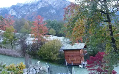 a small wooden cabin in the middle of a forest at Chamonix petit chalet Cocooning in Servoz