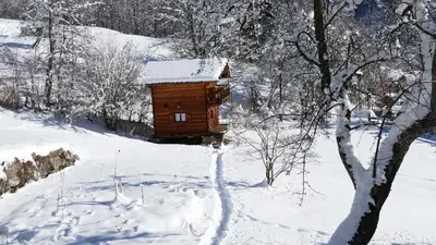 a wooden cabin in a snow covered forest at Chamonix petit chalet Cocooning in Servoz
