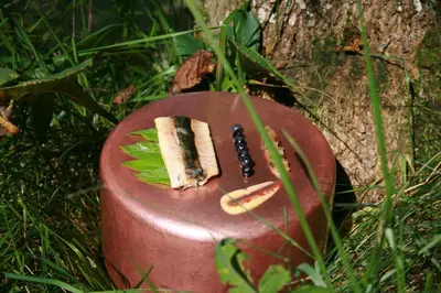 two sandwiches sitting on a plate next to a tree at La Croix de Savoie & Spa in Les Carroz d'Araches