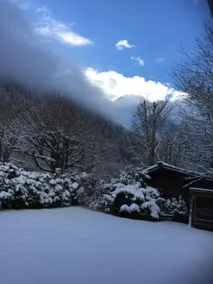 a snow covered yard with a house and trees at chalet des petits loups in Chamonix-Mont-Blanc