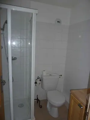 a small bathroom with a toilet and a shower at Le Hameau des Neiges in Demi-Quartier