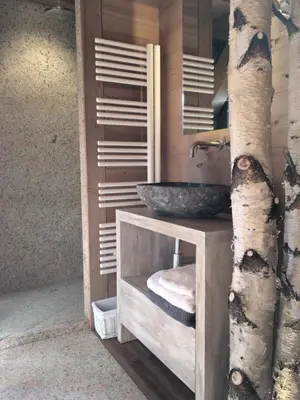 a bathroom with a vessel sink and a tree at Chalet Mine de rien in Megève