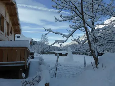 a tree covered in snow next to a house at Les Chalets Aquarelle in Chamonix-Mont-Blanc