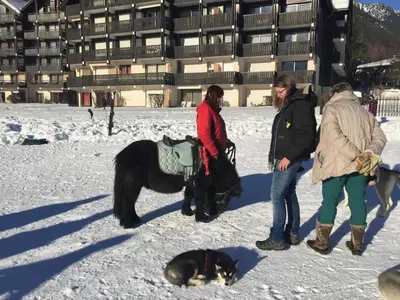 a group of people standing in the snow with a dog at Front Ski Slope Chamonix Apartment in Chamonix-Mont-Blanc