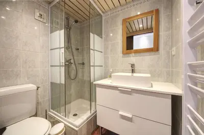 a bathroom with a toilet and a shower and a sink at Apartment Scott in Chamonix-Mont-Blanc