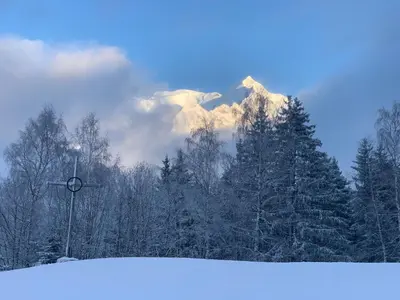 a snow covered mountain in the distance with trees at Appartement St Nicolas in Saint-Gervais-les-Bains