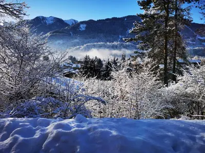 a snow covered field with trees and mountains in the background at Chalet Lilalpes SPA in Samoëns