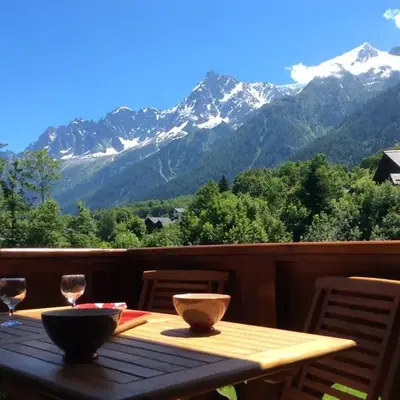 Facing the Chamonix Needles
