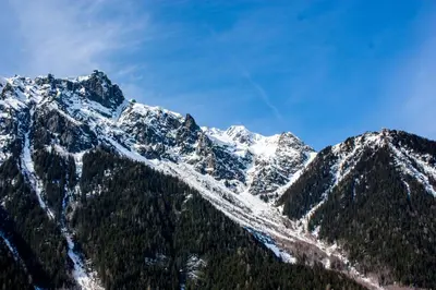 a snow covered mountain with trees in front of it at Duplex Chamonix Les Grands Montets in Chamonix-Mont-Blanc