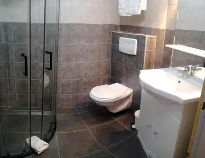 a bathroom with a toilet and a shower and a sink at Résidence Le Fontenay in Plateau dʼAssy