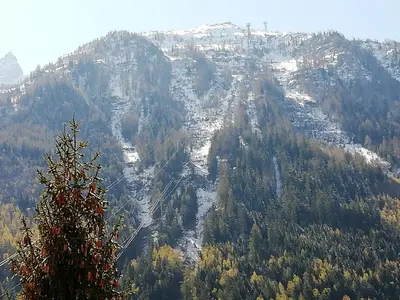 a view of a mountain with trees and snow at Champalo in Chamonix-Mont-Blanc