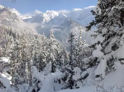 a snow covered forest with mountains in the background at Résidence Les Jorasses in Servoz