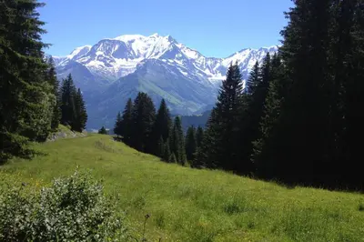 a snow covered mountain in a field with trees at Les Jardins Alpins - Apartment in Saint-Gervais-les-Bains