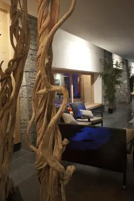 a living room with a couch and some tree branches at CGH Résidences & Spas Les Chalets de Jouvence in Les Carroz d'Araches