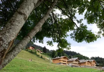 a group of houses on a hill with trees at CGH Résidences & Spas Les Chalets de Jouvence in Les Carroz d'Araches