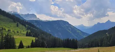 a green field with trees and mountains in the background at résidence Le Platé in Les Carroz d'Araches