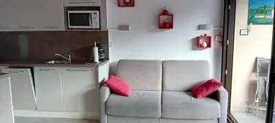 a living room with a couch with two red pillows at résidence Le Platé in Les Carroz d'Araches