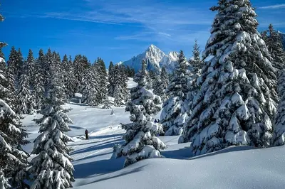 a group of trees covered in snow with a mountain at Chalet Les Frenes in Chamonix-Mont-Blanc