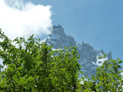 a tree with a mountain in the background at Aiguille du Midi - Hôtel & Restaurant in Chamonix-Mont-Blanc