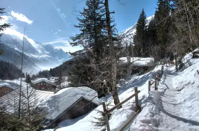 a snow covered mountain with trees and a fence at La Ribambelle in Chamonix-Mont-Blanc