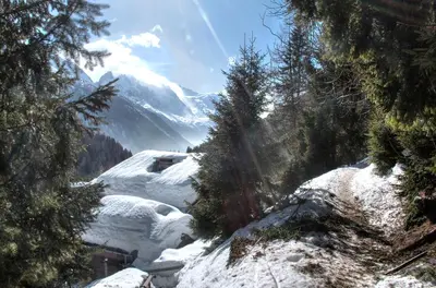 a snow covered hill with trees and a mountain at La Ribambelle in Chamonix-Mont-Blanc