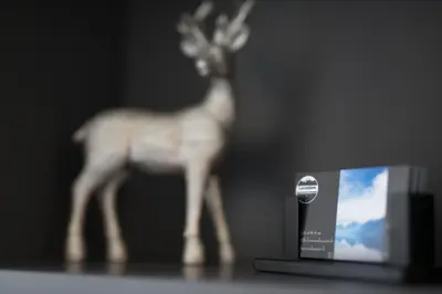 a statue of a deer standing next to a television at Au Pied Du Mont-Blanc - Chamonix in Chamonix-Mont-Blanc