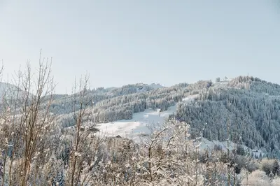a view of a snow covered mountain with trees at Les Chalets du Mont d'Arbois & Spa, Megève in Megève