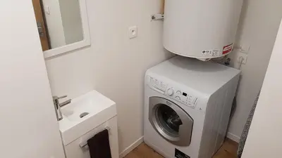 a laundry room with a washing machine and a sink at Les Carroz d'Araches in Les Carroz d'Araches