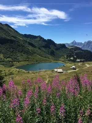 a view of a lake in a field with pink flowers at Les Carroz d'Araches in Les Carroz d'Araches
