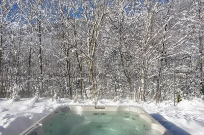 a hot tub in the snow in front of trees at Chalet Amelie in Chamonix-Mont-Blanc