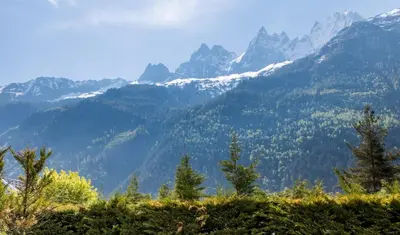 a view of a mountain range with trees and snow at Villa Floria Apartment in Chamonix-Mont-Blanc