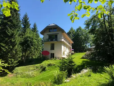 a house on a hill with green grass and trees at Le Moulin des Olirics in Sallanches