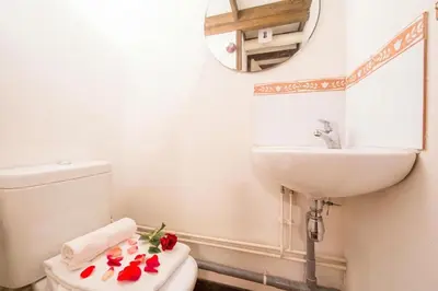 a bathroom with a toilet and a sink and a mirror at Résidence Grand Roc - Bruyères 207 - Happy Rentals in Chamonix-Mont-Blanc
