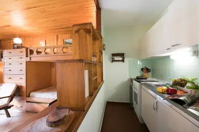 a kitchen with wooden walls and a counter with a sink at Résidence Grands Montets 110 - Happy Rentals in Chamonix-Mont-Blanc