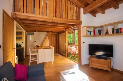 a living room with a couch and a tv at Chalet Brio in Samoëns
