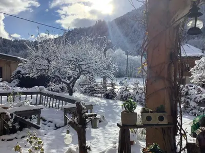 a snow covered yard with a tree and a mountain at Casa Mia in Saint-Gervais-les-Bains