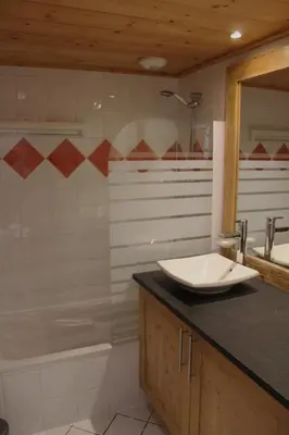 a bathroom with a sink and a shower and a tub at Reine des Prés in Samoëns