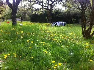 a table and chairs in a field of flowers at Les Fourges in Saint-Gervais-les-Bains