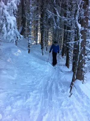 a person cross country skiing through a snow covered forest at Les Fourges in Saint-Gervais-les-Bains