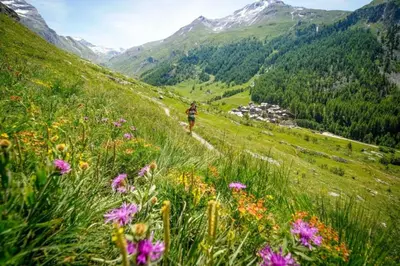 a person walking up a hill with flowers at Apartment Marcel - Cosy Chamonix Haven Mont Blanc in Chamonix-Mont-Blanc