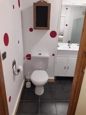 a bathroom with a white toilet and a sink at Le Carlton in Chamonix-Mont-Blanc